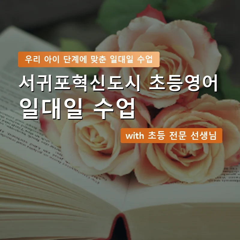 서귀포혁신도시 초등학생영어회화 — 영과전 1:1 맞춤 수업 안내 이미지