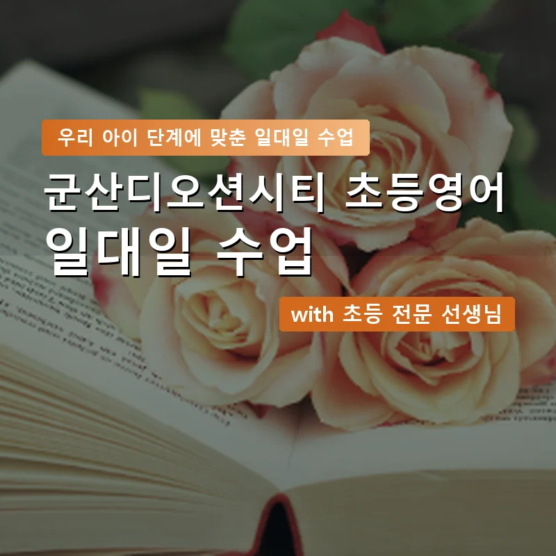 군산디오션시티 초등학생영어회화 — 영과전 1:1 맞춤 수업 안내 이미지