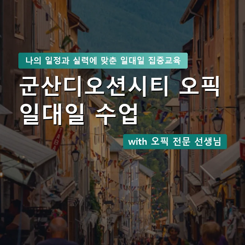 군산디오션시티 오픽과외 — 영과전 1:1 맞춤 수업 안내 이미지