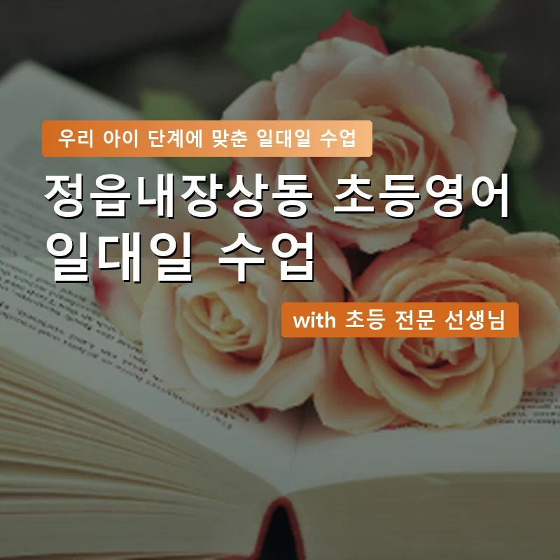 정읍내장상동 초등학생영어회화 — 영과전 1:1 맞춤 수업 안내 이미지