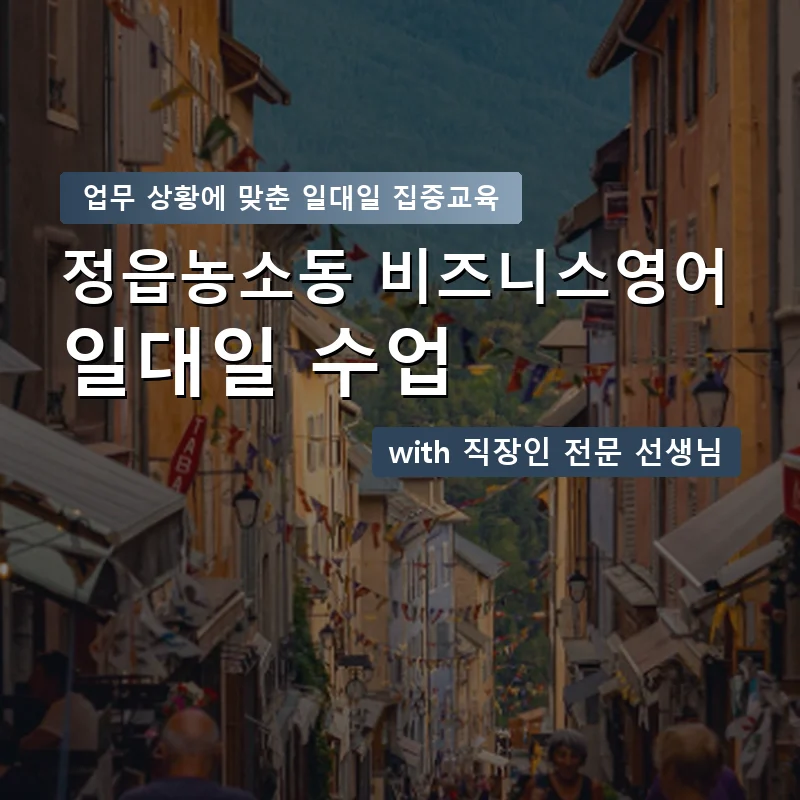 정읍농소동 직장인영어과외 — 영과전 1:1 맞춤 수업 안내 이미지
