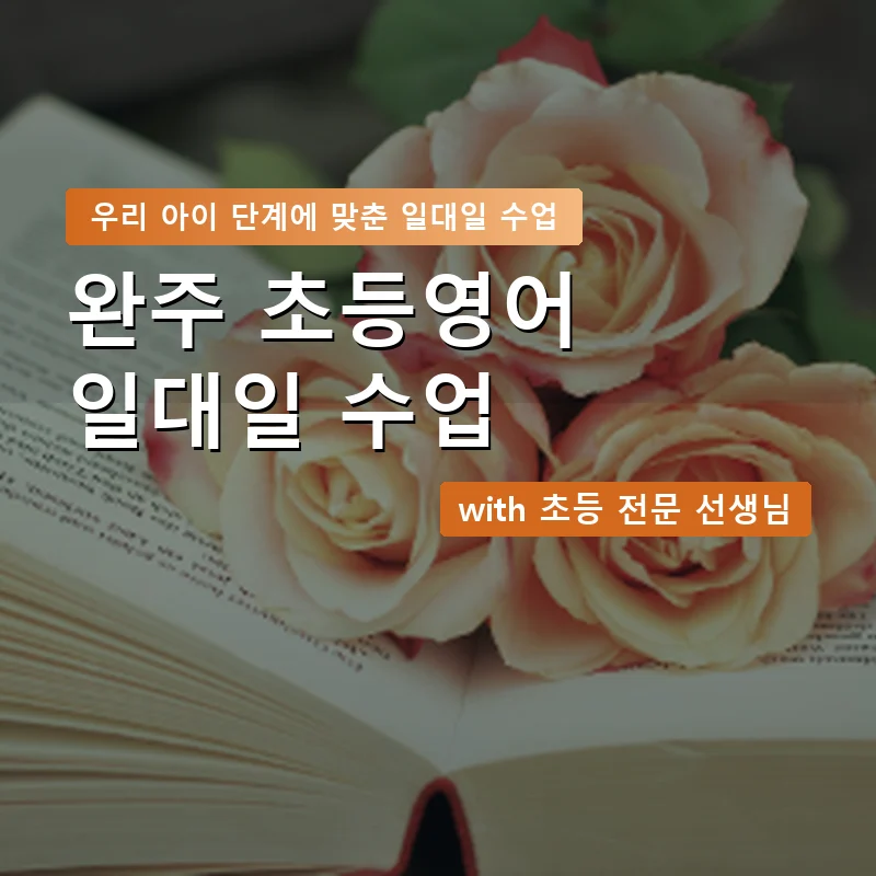 완주 초등학생영어회화 — 영과전 1:1 맞춤 수업 안내 이미지