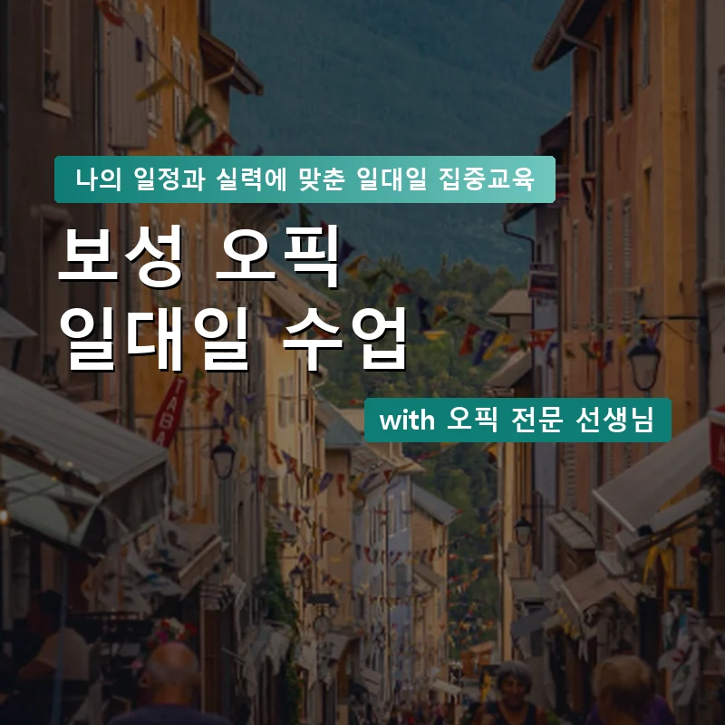 보성 오픽과외 — 영과전 1:1 맞춤 수업 안내 이미지