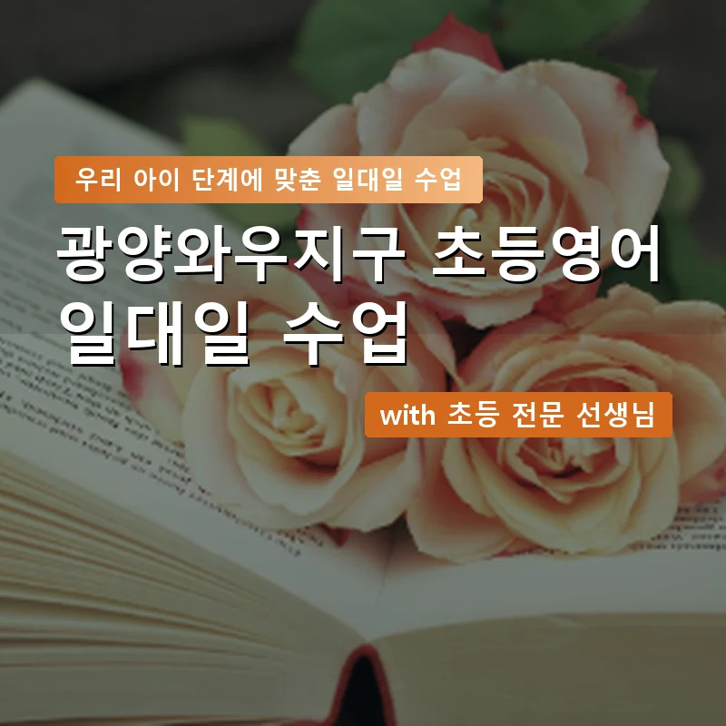 광양와우지구 초등학생영어회화 — 영과전 1:1 맞춤 수업 안내 이미지