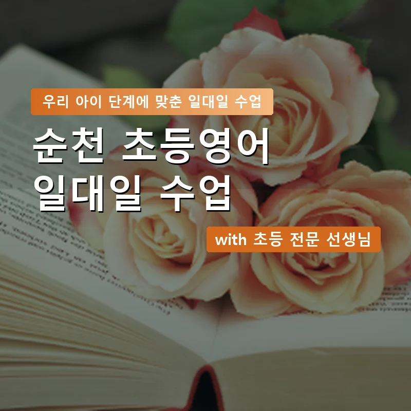 순천 초등학생영어회화 — 영과전 1:1 맞춤 수업 안내 이미지