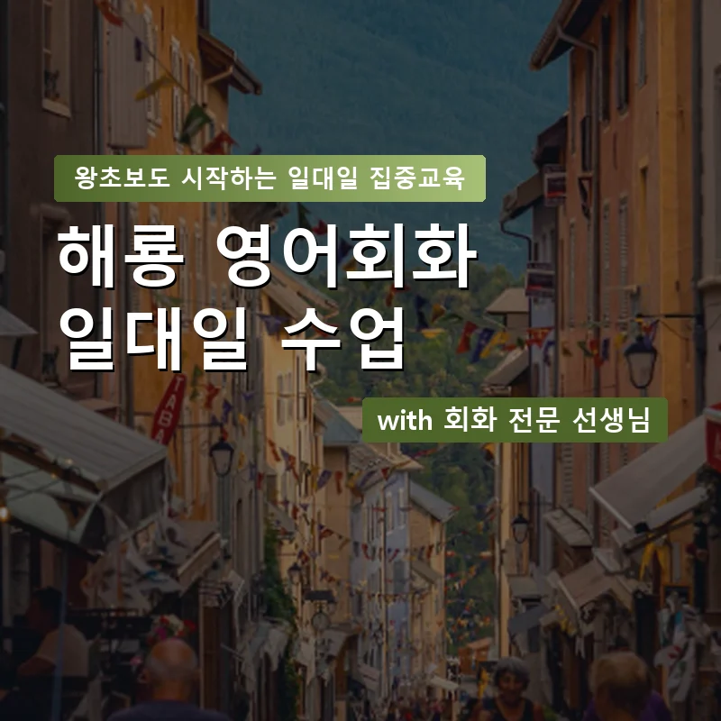 해룡 1:1 영어회화과외 — 영과전 1:1 맞춤 수업 안내 이미지