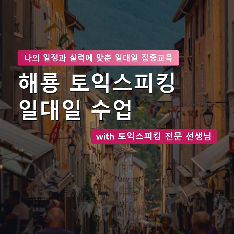 해룡 토익스피킹과외 — 영과전 1:1 맞춤 수업 안내 이미지
