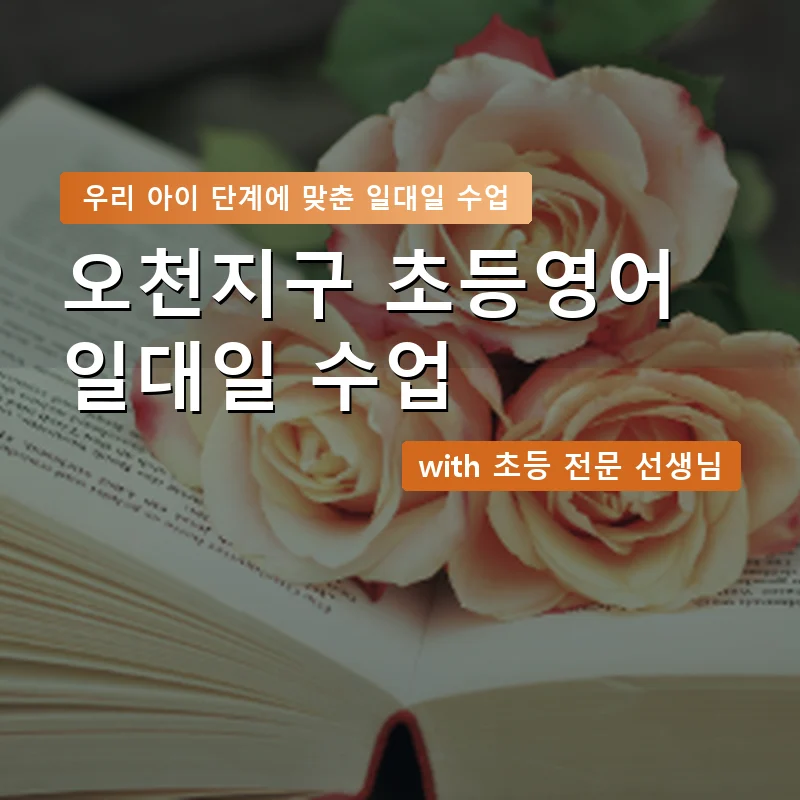 오천지구 초등학생영어회화 — 영과전 1:1 맞춤 수업 안내 이미지