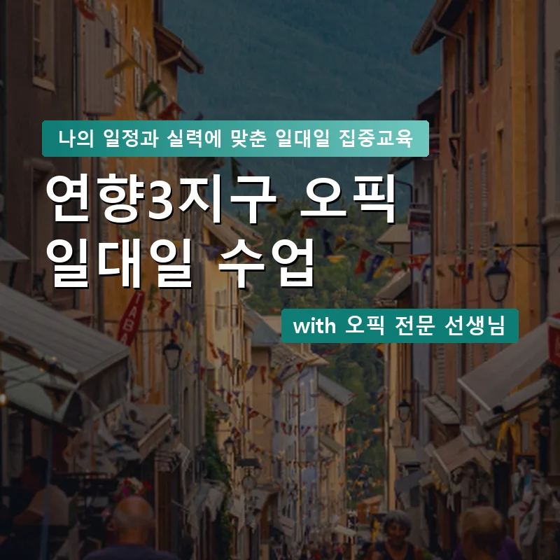 연향3지구 오픽과외 — 영과전 1:1 맞춤 수업 안내 이미지