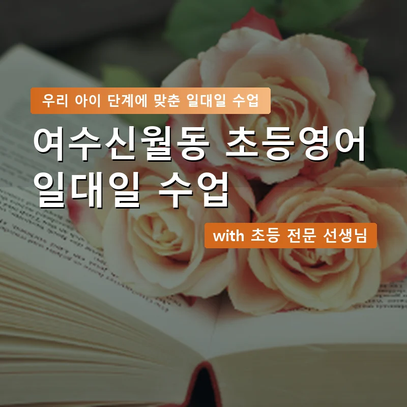 여수신월동 초등학생영어회화 — 영과전 1:1 맞춤 수업 안내 이미지