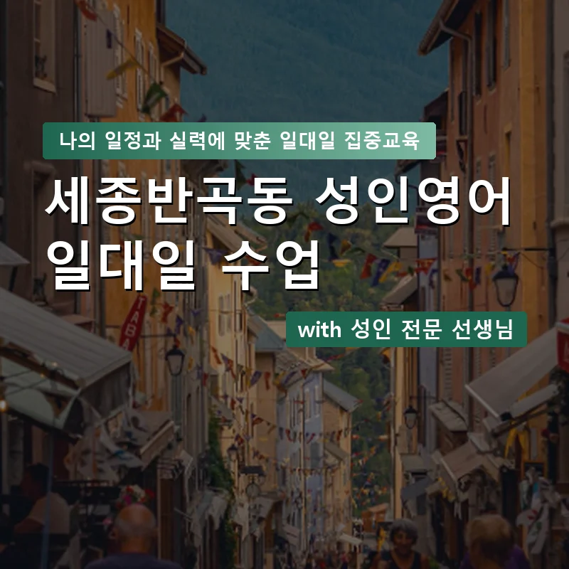 세종반곡동 성인영어과외 — 영과전 1:1 맞춤 수업 안내 이미지