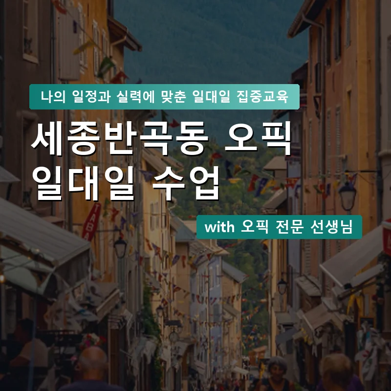 세종반곡동 오픽과외 — 영과전 1:1 맞춤 수업 안내 이미지