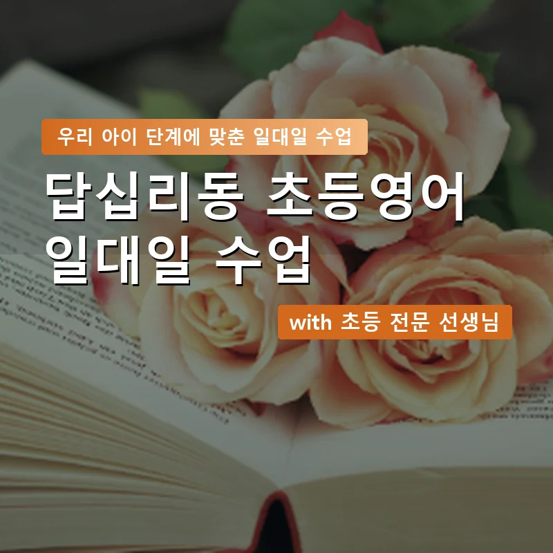 답십리동 초등학생영어회화 — 영과전 1:1 맞춤 수업 안내 이미지