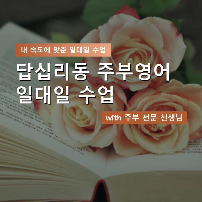 답십리동 주부영어회화 — 영과전 1:1 맞춤 수업 안내 이미지