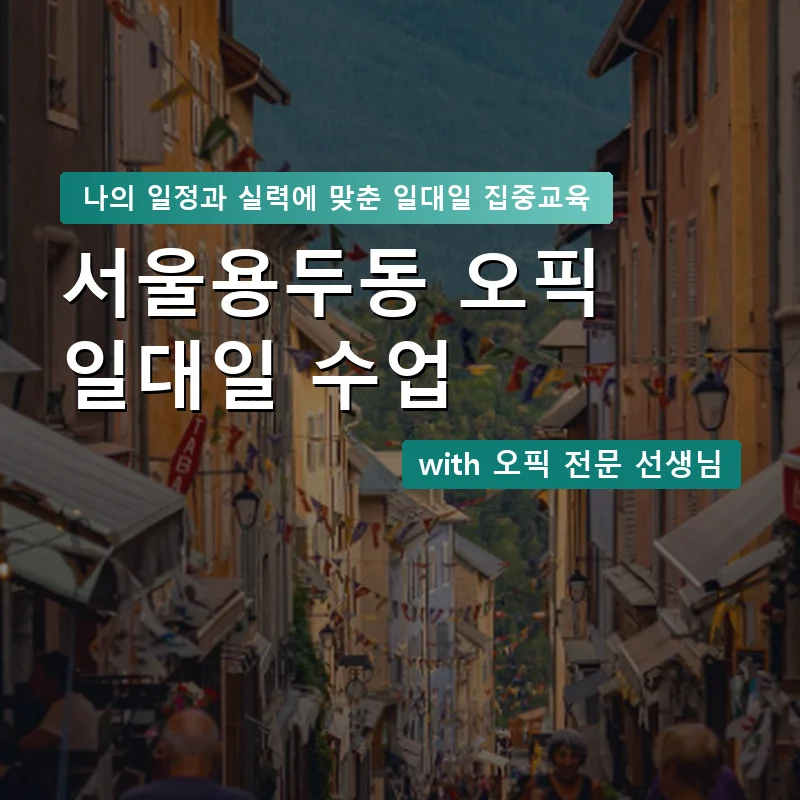 서울용두동 오픽과외 — 영과전 1:1 맞춤 수업 안내 이미지