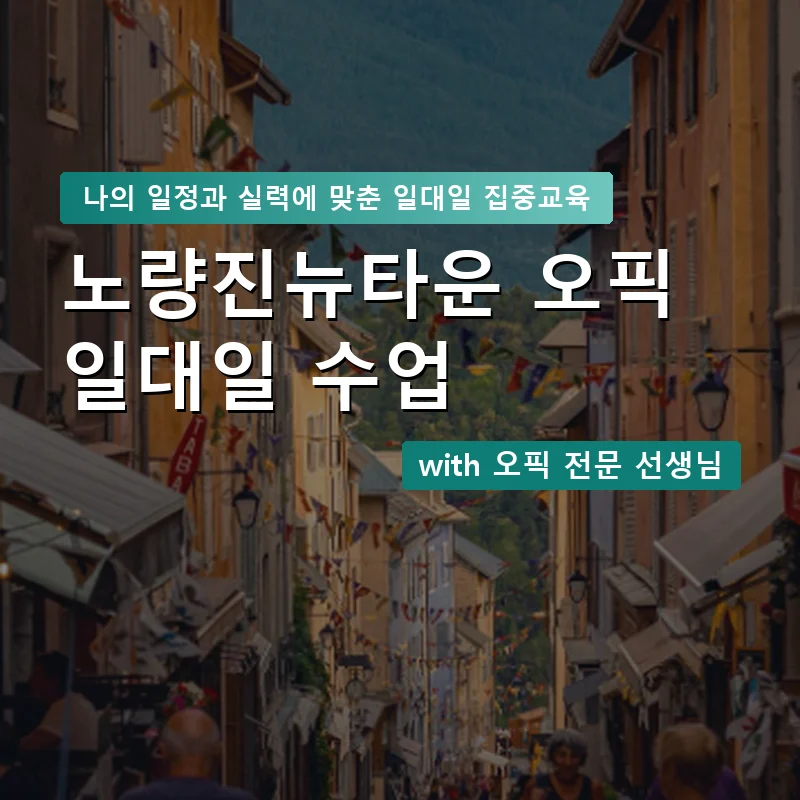 노량진뉴타운 오픽과외 — 영과전 1:1 맞춤 수업 안내 이미지