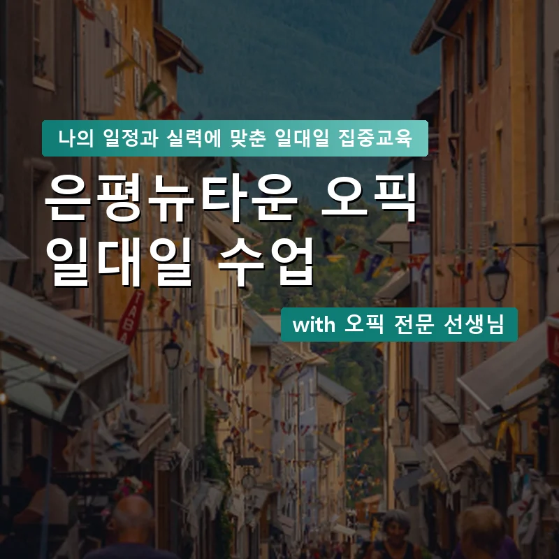 은평뉴타운 오픽과외 — 영과전 1:1 맞춤 수업 안내 이미지