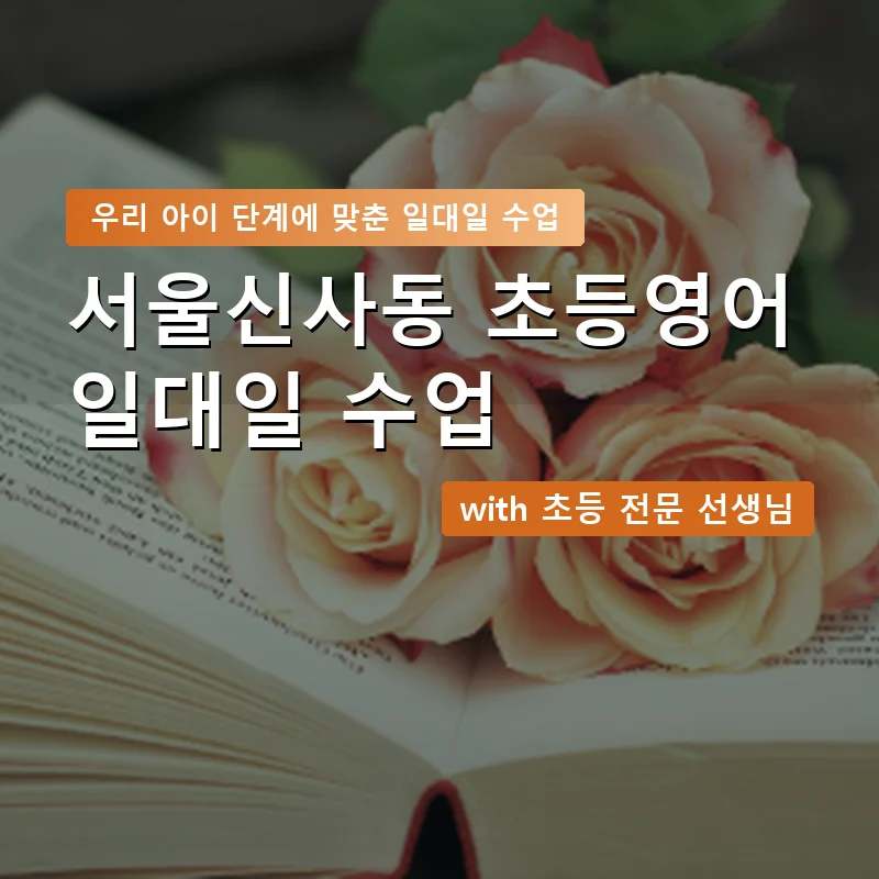 서울신사동 초등학생영어회화 — 영과전 1:1 맞춤 수업 안내 이미지