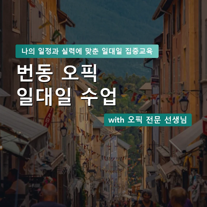 번동 오픽과외 — 영과전 1:1 맞춤 수업 안내 이미지