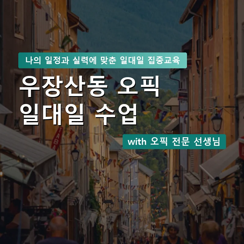 우장산동 오픽과외 — 영과전 1:1 맞춤 수업 안내 이미지