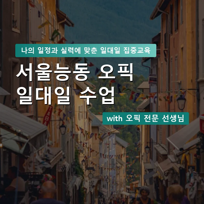 서울능동 오픽과외 — 영과전 1:1 맞춤 수업 안내 이미지