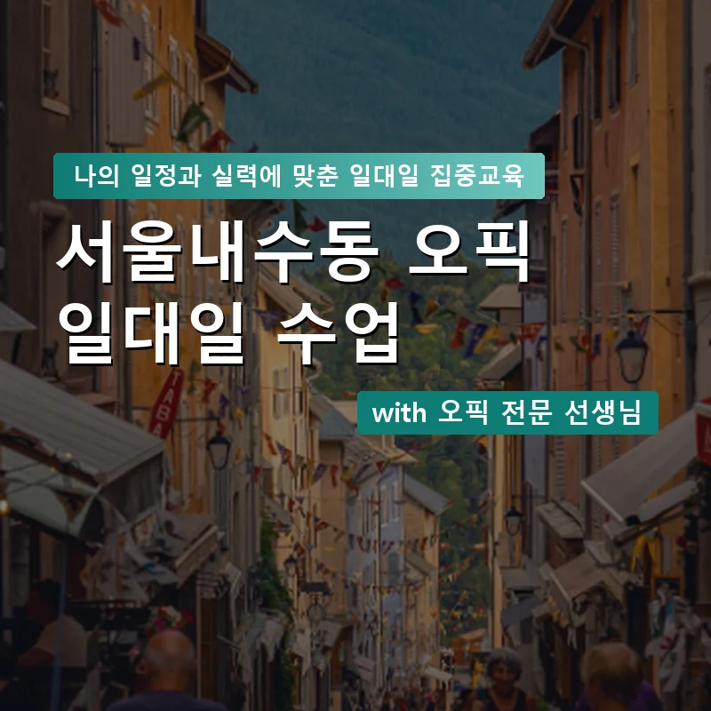 서울내수동 오픽과외 — 영과전 1:1 맞춤 수업 안내 이미지