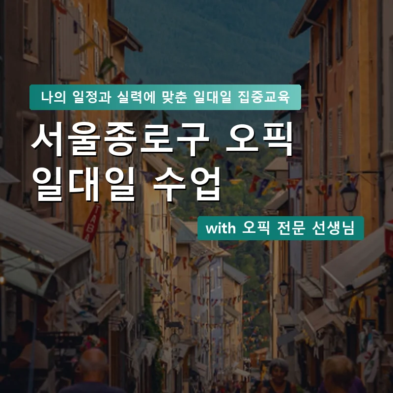 서울종로구 오픽과외 — 영과전 1:1 맞춤 수업 안내 이미지