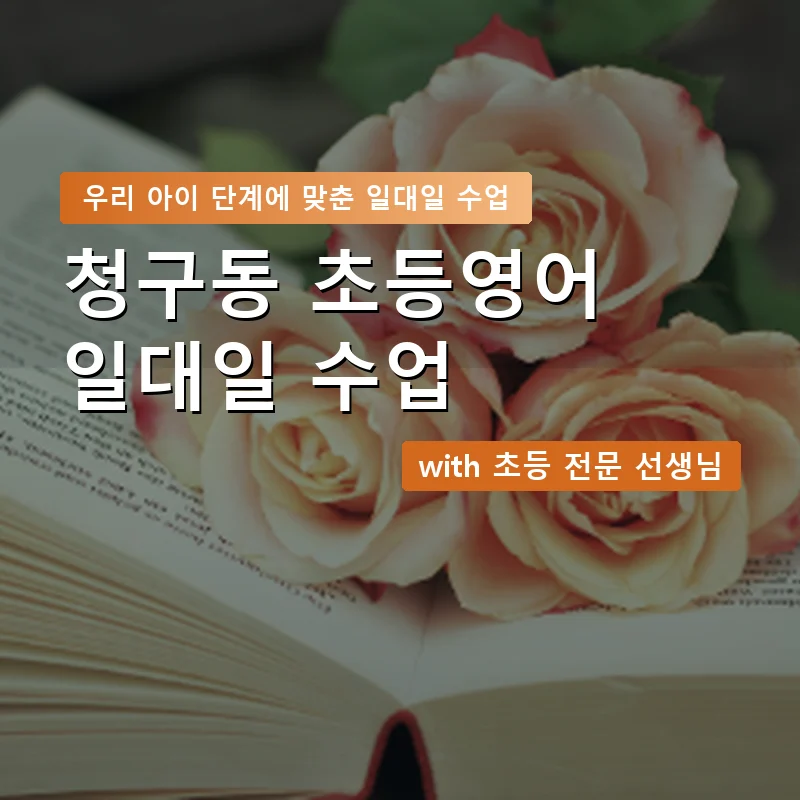 청구동 초등학생영어회화 — 영과전 1:1 맞춤 수업 안내 이미지