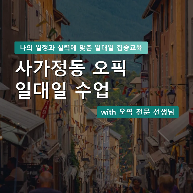 사가정동 오픽과외 — 영과전 1:1 맞춤 수업 안내 이미지