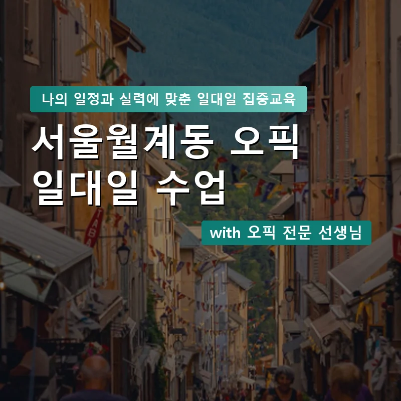 서울월계동 오픽과외 — 영과전 1:1 맞춤 수업 안내 이미지