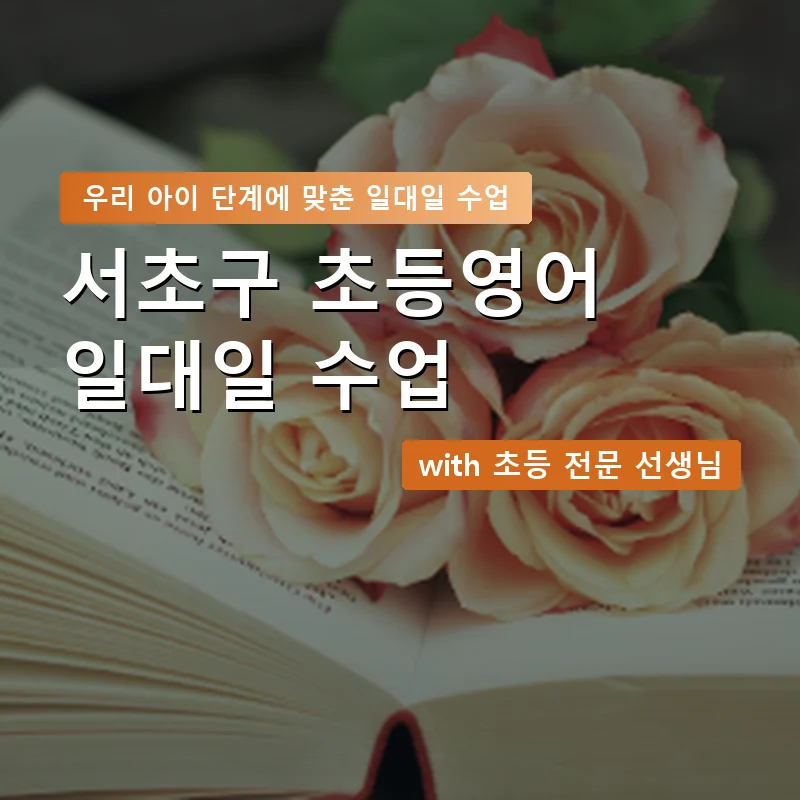 서초구 초등학생영어회화 — 영과전 1:1 맞춤 수업 안내 이미지