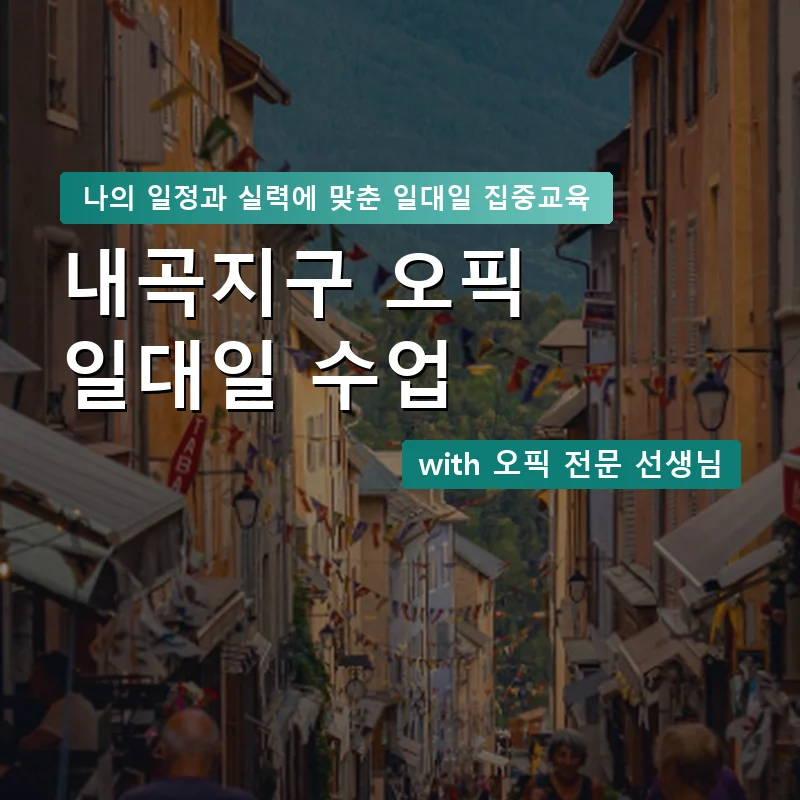 내곡지구 오픽과외 — 영과전 1:1 맞춤 수업 안내 이미지