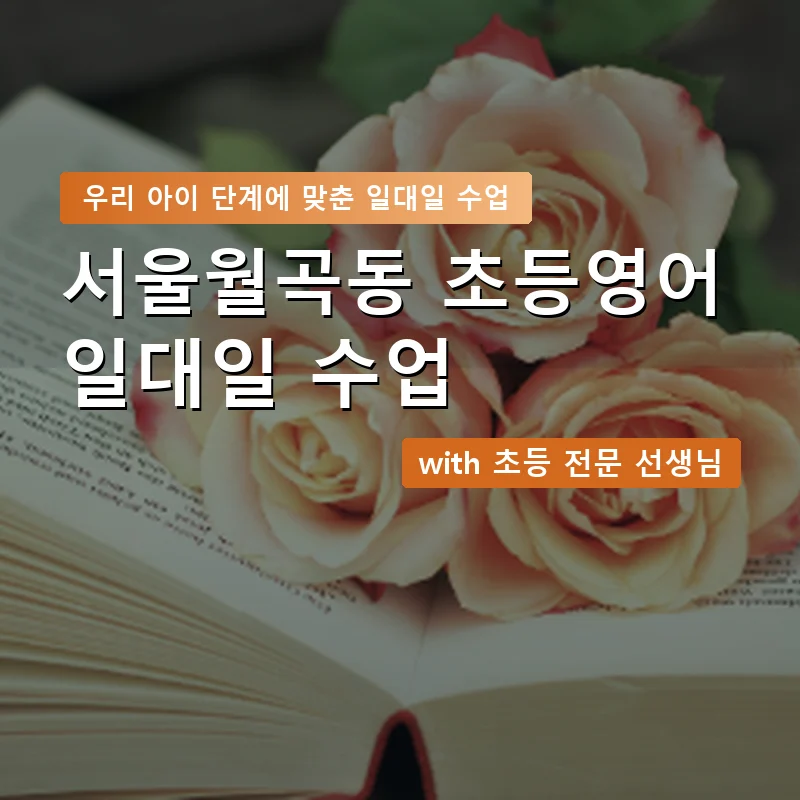 서울월곡동 초등학생영어회화 — 영과전 1:1 맞춤 수업 안내 이미지
