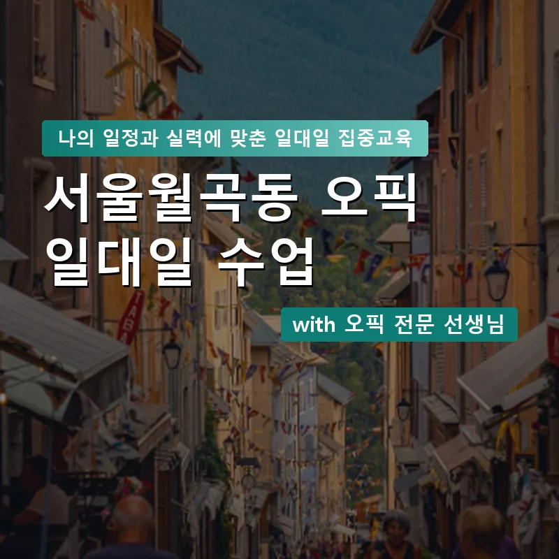 서울월곡동 오픽과외 — 영과전 1:1 맞춤 수업 안내 이미지