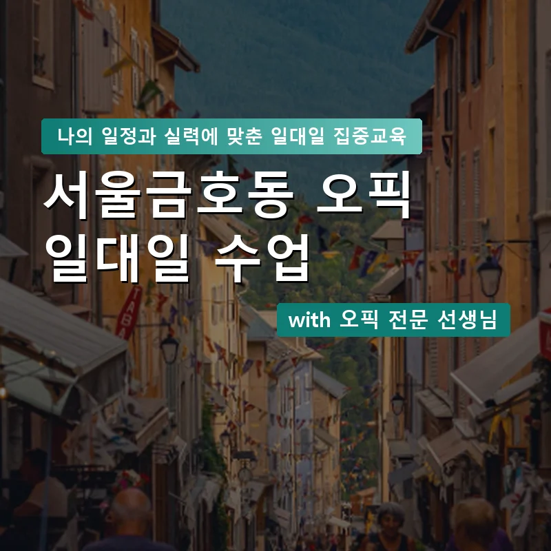 서울금호동 오픽과외 — 영과전 1:1 맞춤 수업 안내 이미지