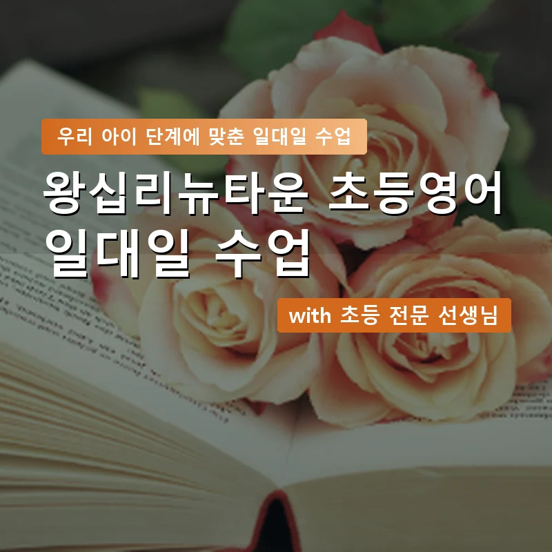 왕십리뉴타운 초등학생영어회화 — 영과전 1:1 맞춤 수업 안내 이미지