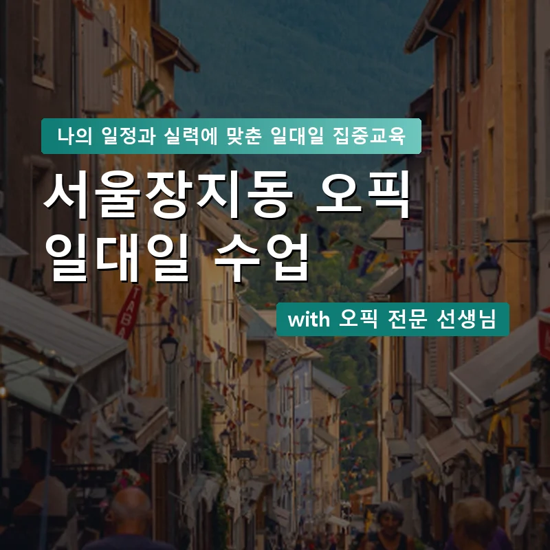 서울장지동 오픽과외 — 영과전 1:1 맞춤 수업 안내 이미지