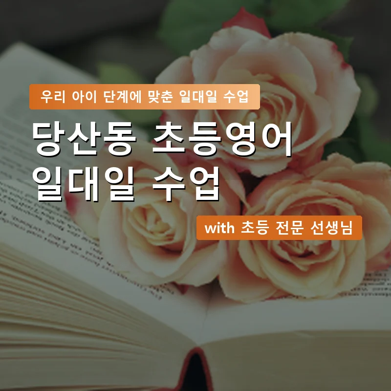 당산동 초등학생영어회화 — 영과전 1:1 맞춤 수업 안내 이미지
