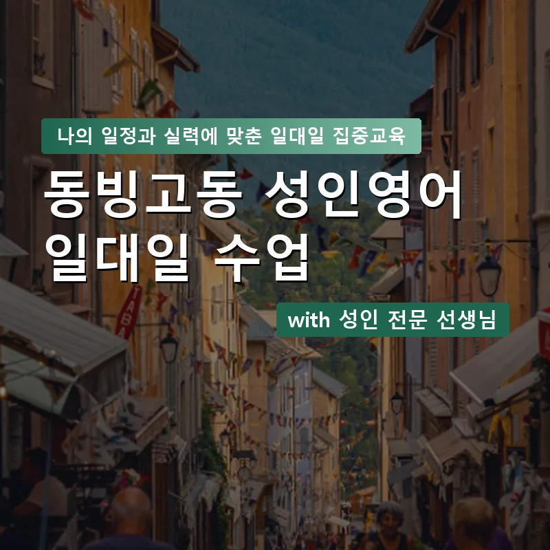 동빙고동 성인영어과외 — 영과전 1:1 맞춤 수업 안내 이미지
