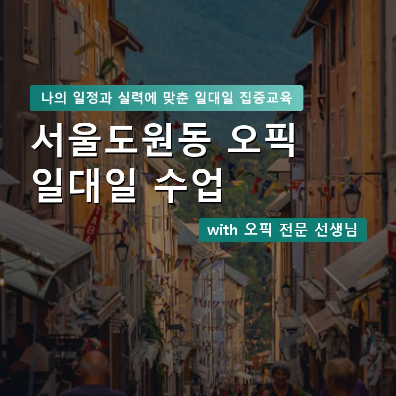 서울도원동 오픽과외 — 영과전 1:1 맞춤 수업 안내 이미지