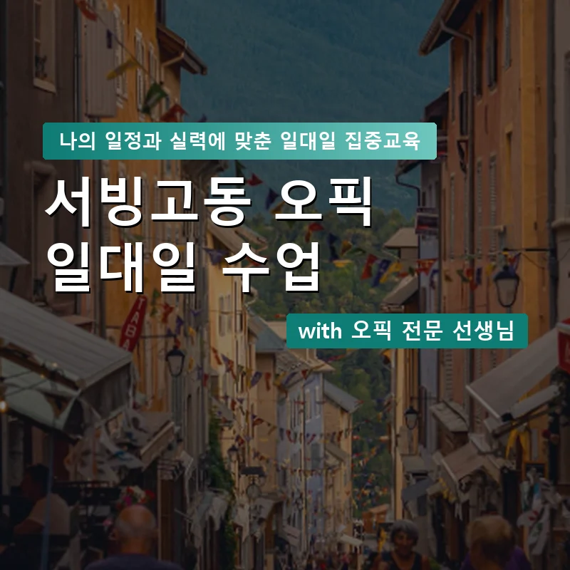 서빙고동 오픽과외 — 영과전 1:1 맞춤 수업 안내 이미지