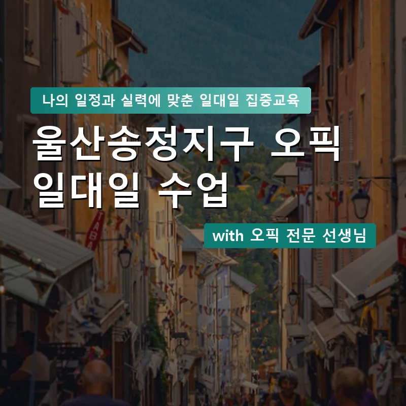 울산송정지구 오픽과외 — 영과전 1:1 맞춤 수업 안내 이미지