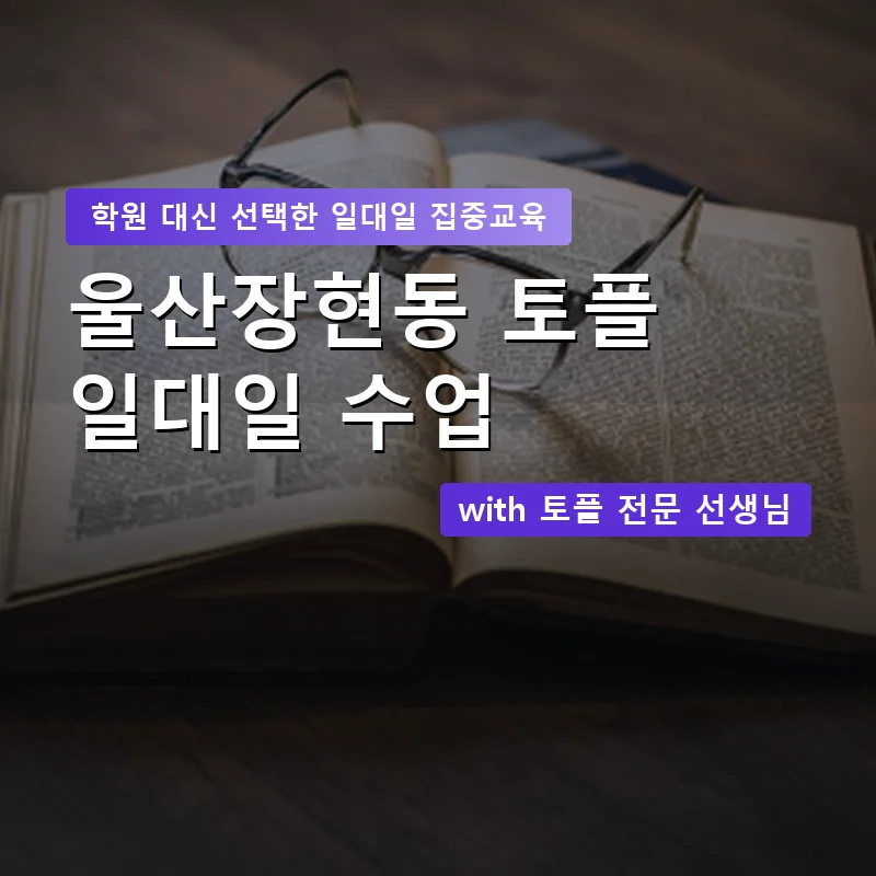 울산장현동 토플학원 — 영과전 1:1 맞춤 수업 안내 이미지