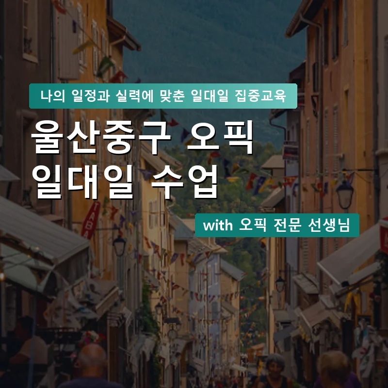 울산중구 오픽과외 — 영과전 1:1 맞춤 수업 안내 이미지
