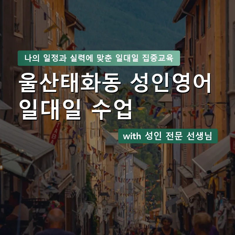 울산태화동 성인영어과외 — 영과전 1:1 맞춤 수업 안내 이미지