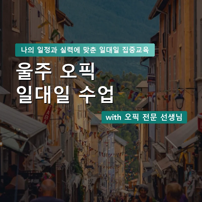 울주 오픽과외 — 영과전 1:1 맞춤 수업 안내 이미지